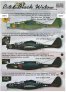 1/48 P-61 Black Widow Part 2 (wet decals)