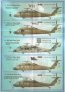 1/72 Family of 'Hawks' of Sikorsky (wet decal) image 1