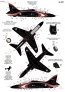 1/32 BAe Systems Hawk 2007 Special Scheme image 1