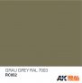 Real Colors Grau-grey RAL7003 (rlm 02) image 1