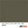 Real Colors Hellgrau-light grey RAL7009 (interior color) image 1