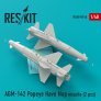 1/48 AGM-142 Popeye Have Nap missile