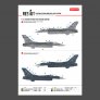 ResKit F-16C Fighting Viper 1/48 Marquages Mission image 3