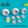 1/32 Do-335B Pfeil wheels set