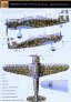 1/72 Fiat G.50 Freccia Regia Aeronautica image 4
