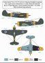 1/48 Curtiss Hawk 75A in Finnish Service image 2