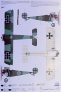 1/32 Fokker D.II Grnzweig Planes image 1