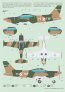 1/72 SIAI-Marchetti SF-260 Duo Pack & Book image 7