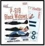 1/32 Northrop P-61B Black Widow 414th, 418th & 422nd NFS