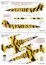 Syhart Decalcomanie F-104G Starfighter Tigermeet 1978 1/48 image 1