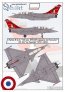 1/48 Dassault Rafale B 4-IA 100 years SPA167 Cigogne de Romanet image 1