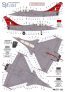 1/48 Dassault Rafale B 4-IA 100 years SPA167 Cigogne de Romanet image 2