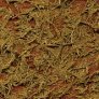 Tamiya Grass Effect Khaki Weathering