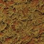 Tamiya Grass Effect Khaki Weathering image 1