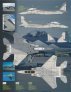 1/48 F-15A/TF-15A (F-15B) Candy Cane/Ferris Eagles image 2