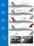 1/48 McDonnell-Douglas F/A-18C/D Miramar MAGTF Hornets image 1