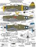 Thundercals Decalcomanie P-47D Thunderbolt Razorback 1/48 image 1