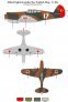 1/48 Scale Allied Fighters under the Turkish Flag Curtiss P-40. image 3