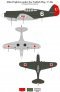 1/48 Scale Allied Fighters under the Turkish Flag Curtiss P-40. image 4