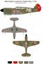 1/72 Scale Allied Fighters under the Turkish Flag Curtis P-40 image 1