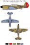 1/72 Scale Allied Fighters under the Turkish Flag Curtis P-40 image 2
