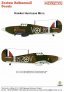 Techmod Decalcomanie Hawker Hurricane Mk.I 1/24