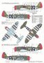 1/24 Republic P-47D Thunderbolt image 1