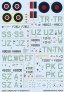 Techmod P-47D Thunderbolt Razorback Decals 1/32 image 2