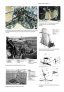 AM-05 The Messerschmitt Bf-109  Complete Guide image 5