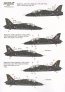 1/32 BAe Hawk T.1A Late overall black schemes image 1