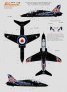 1/48 BAE Hawk T.1 (1) XX245 or XX301 208(R) Squadron 2009 Displa