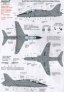 1/72 BAe Hawk Maintenance Data for all paint schemes  Red/White image 1