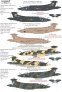 1/72 Blackburn Buccaneer S.2 Collection Part 2 image 1