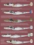 1/48 Last Ride. Pto P-38s of the Aces image 1
