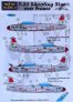 1/48 Decals T-33 Shooting Star over France (+mask)