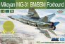 1/48 Mikoyan MiG-31 BM/BSM Foxhound SIO Special Edition