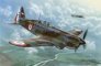 1/72 Morane-Saulnier MS.406 Battle of France