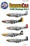 1/48 North-American P-51D Mustangs of the 8th Air Force