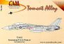 1/72 Grumman F-14A Tomcat Hi Vis Data for 2 aircraft