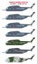 1/48 Sikorsky CH-53 Multiple marking options for USAF / US Navy