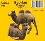 1/48 Bactrian Camel 2 pcs.