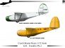 1/72 Franklin PS-2 Primary Glider - two versions