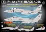 1/72 Grumman F-14A Tomcat Black Aces The Final Countdown