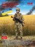 1/16 Soldier of Armed Forces of Ukraine