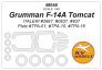 1/48 Grumman F-14A Tomcat mask for Italeri & Platz