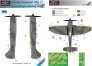 1/48 Mask H.Tempest Mk.II Camouflage painting