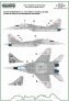 1/48 Mikoyan MiG-29 Heroes of Kosciuszko New paint scheme part 2