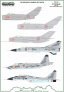 1/48 North Korean Modern Jet Power