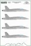 1/48 Finnish McDonnell-Douglas F/A-18C/D Hornets generic set