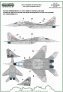 1/72 Mikoyan MiG-29M Heroes of Kosciuszko part 2